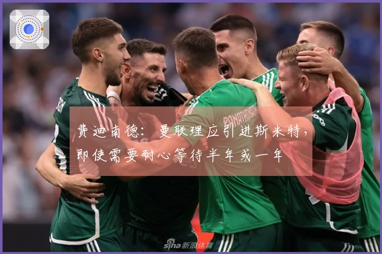 费迪南德：曼联理应引进斯米特，即使需要耐心等待半年或一年