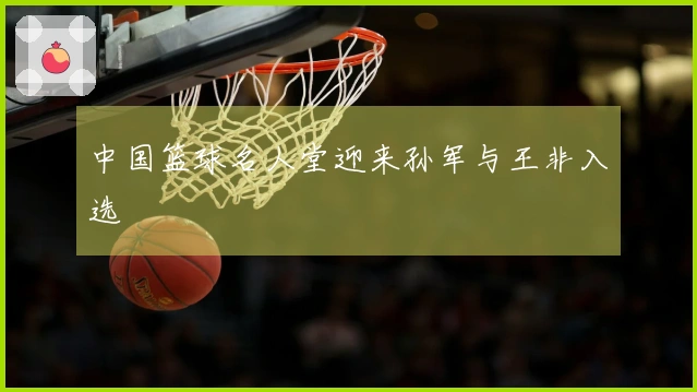 中国篮球名人堂迎来孙军与王非入选